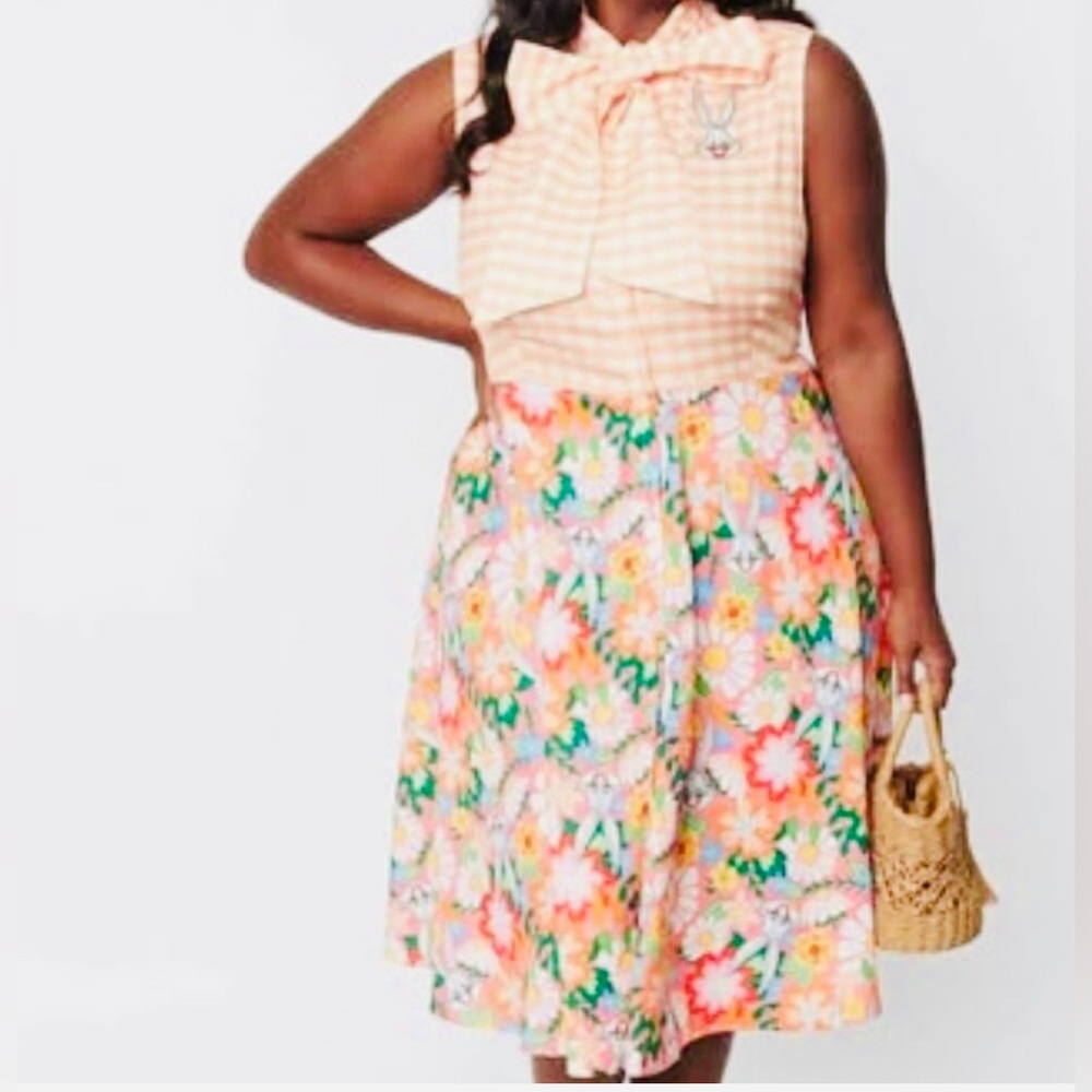 Unique Vintage x Looney Tunes midi dress Sz XS/2 NEW gingham teacher